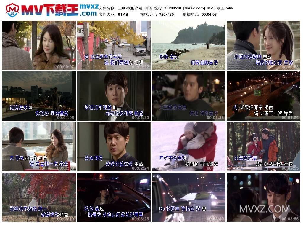 王晰-我的命运_国语_流行_YF200510